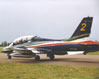 Vista a tre quarti dell'MB-339 PAN delle "Frecce Tricolori" che sfila davanti alla folla. Questa immagine s'ingrandisce in una nuova finestra