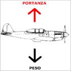 Forze di peso e portanza durante il volo